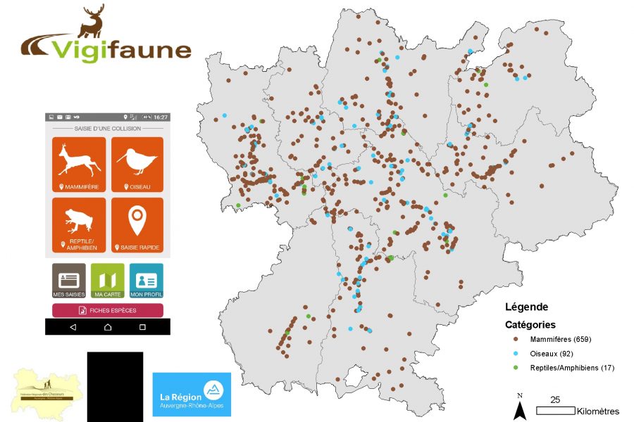 Comment identifier les points de conflits entre infrastructures de transport et faune sauvage ?