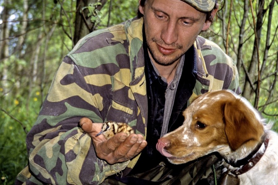 La Russie, source de nos bécasses en Auvergne Rhône-Alpes