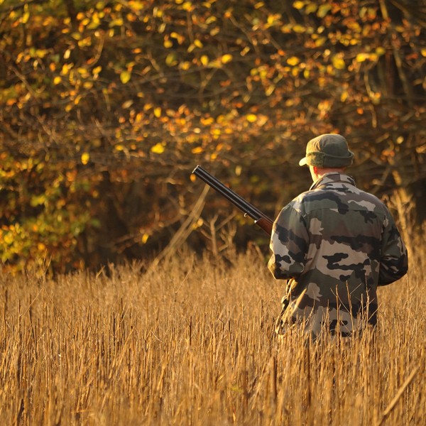 La chasse devant soi