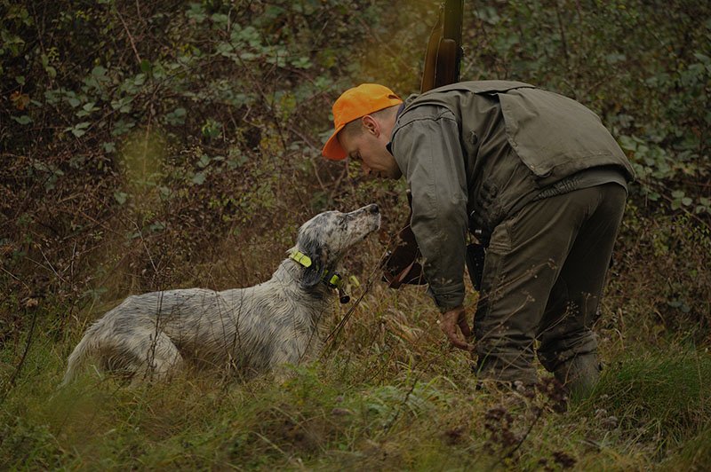 Ouverture 2016-2017 de la Chasse : la sécurité avant tout !