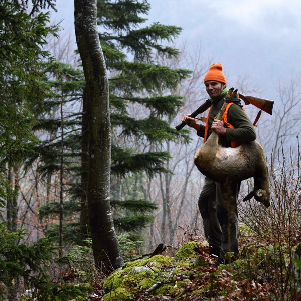 La chasse à l’approche