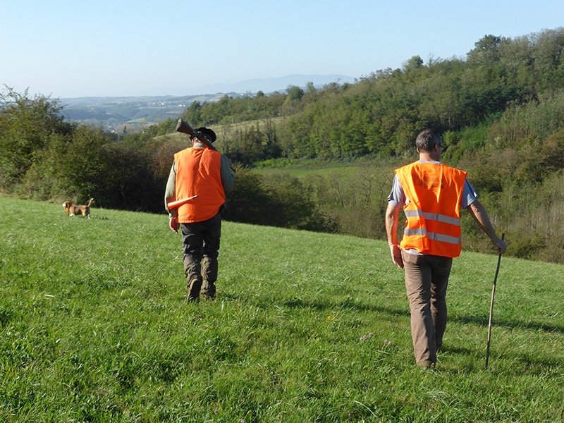 Bilan des accidents de chasse saison 2015-2016