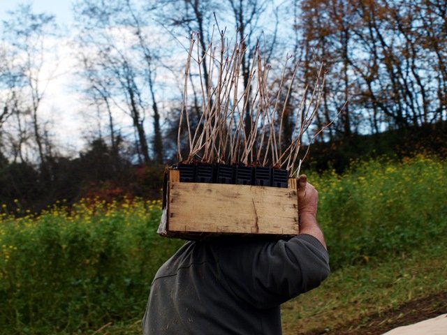 L’appel à projet haie est relancé !