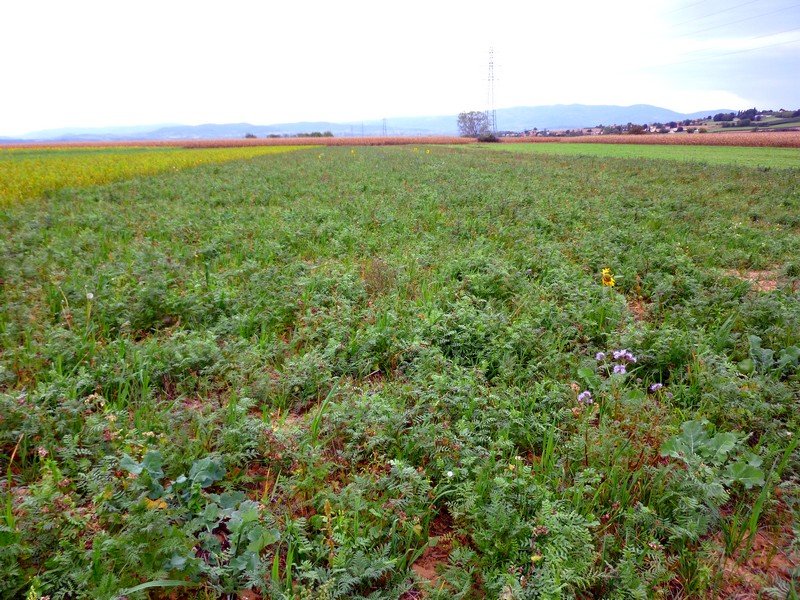 24 tonnes de CIPAN en Isère !