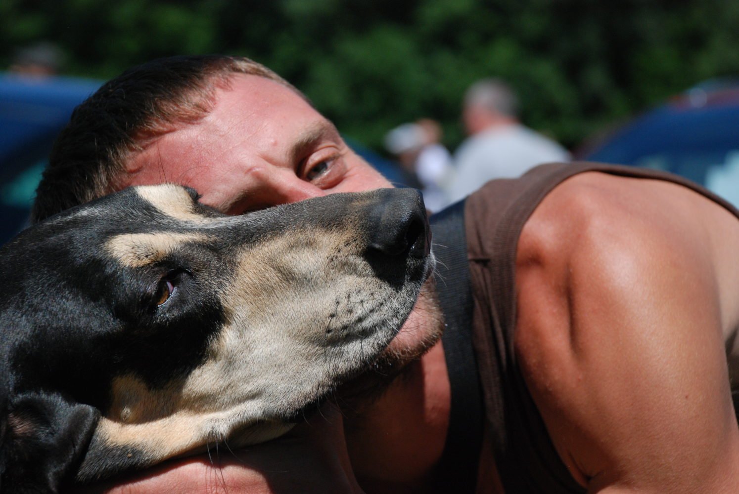 Entrainement, alimentation, soins… comment préparer son chien avant la chasse ?