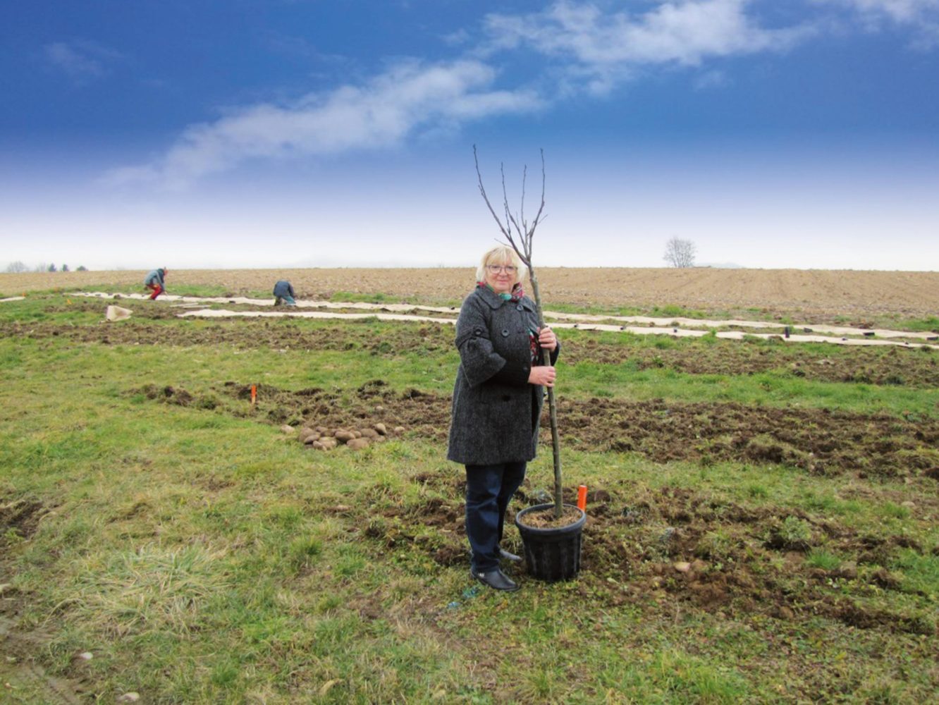 Plantation de haies : la chasse intervient au profit du monde agricole