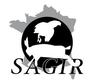 logo sagir