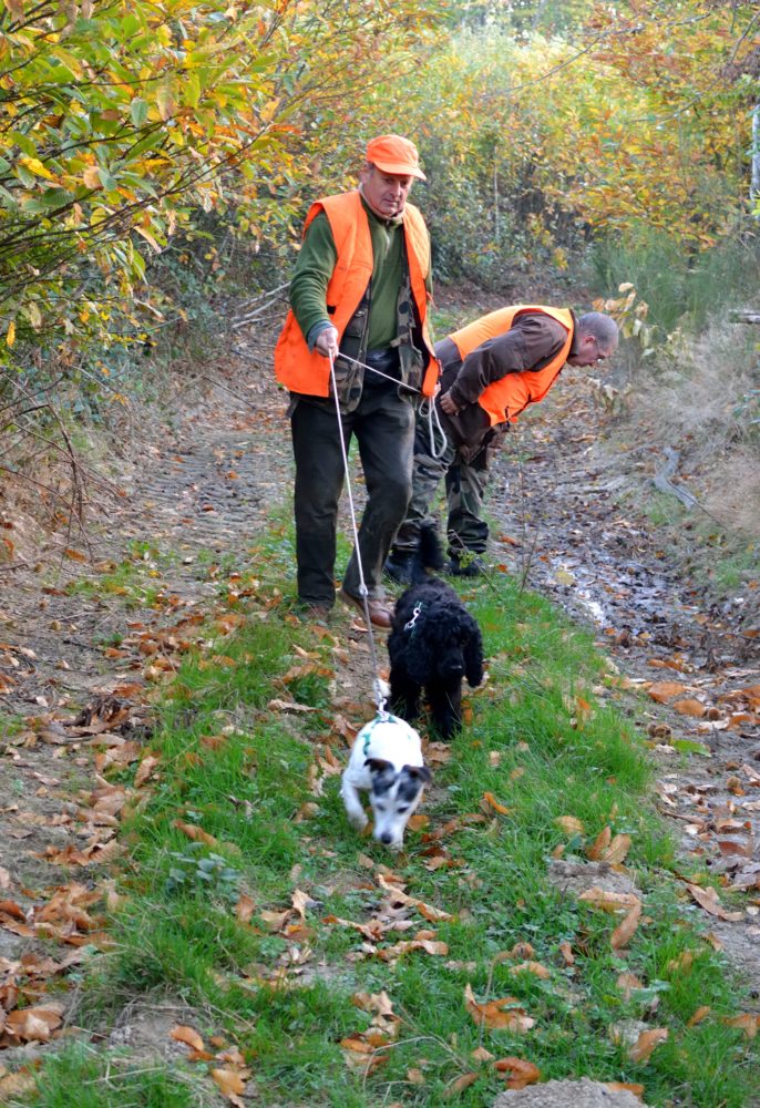 Un Dimanche à la chasse : happy end !