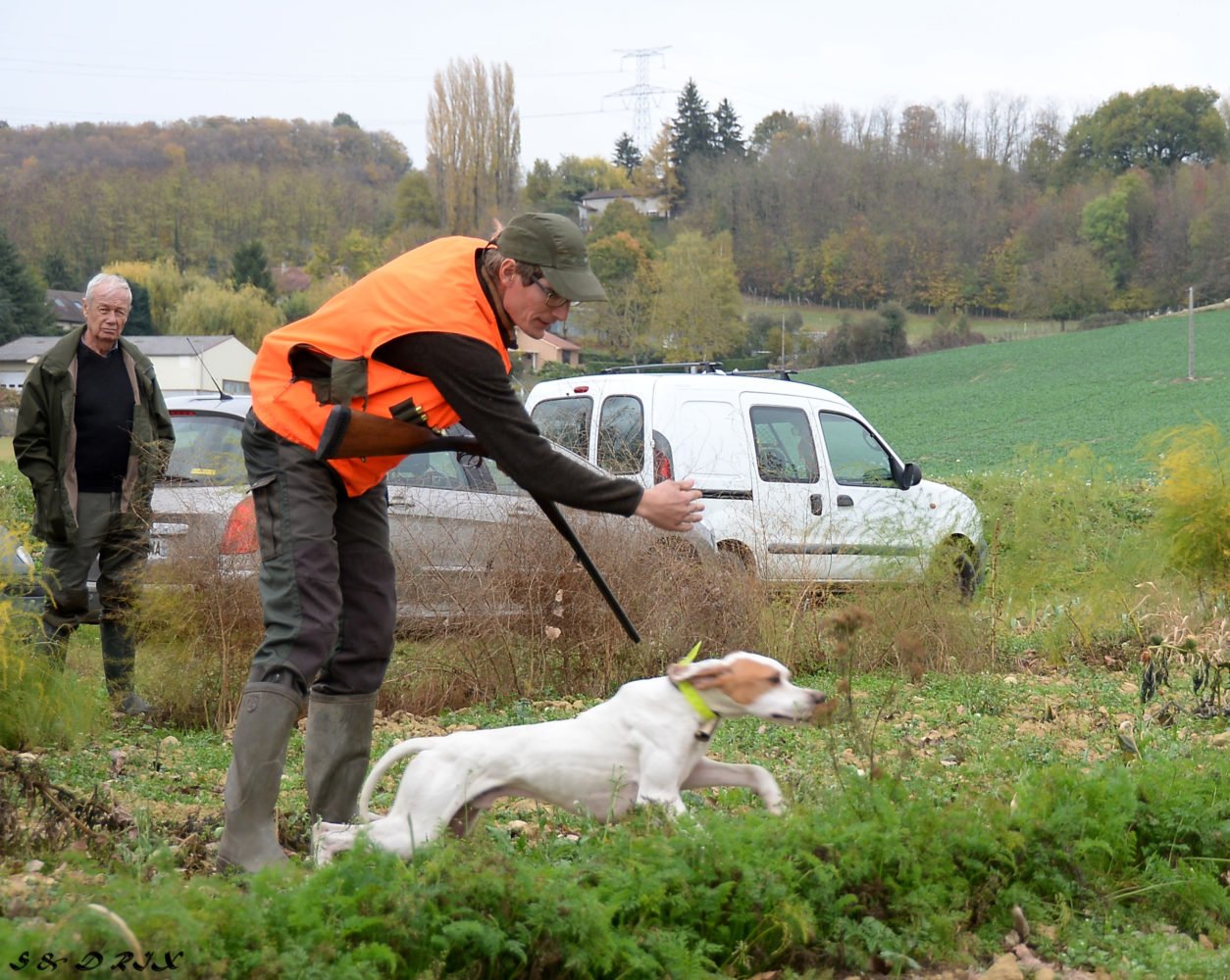 Les Rencontres St Hubert, les résultats de la finale régionale