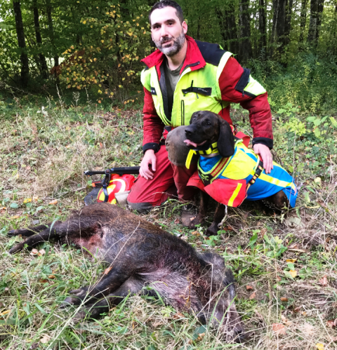 Comment éduquer son chien de rouge ?