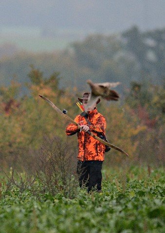 chasse à l'arc - chasse arc - treestand - affut arc - chasse