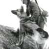 La chasse en temps de guerre