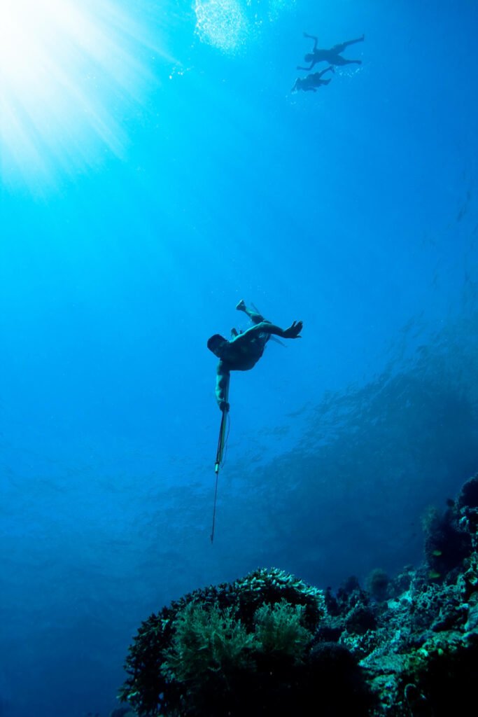 La chasse sous-marine : une activité à découvrir - Fédération