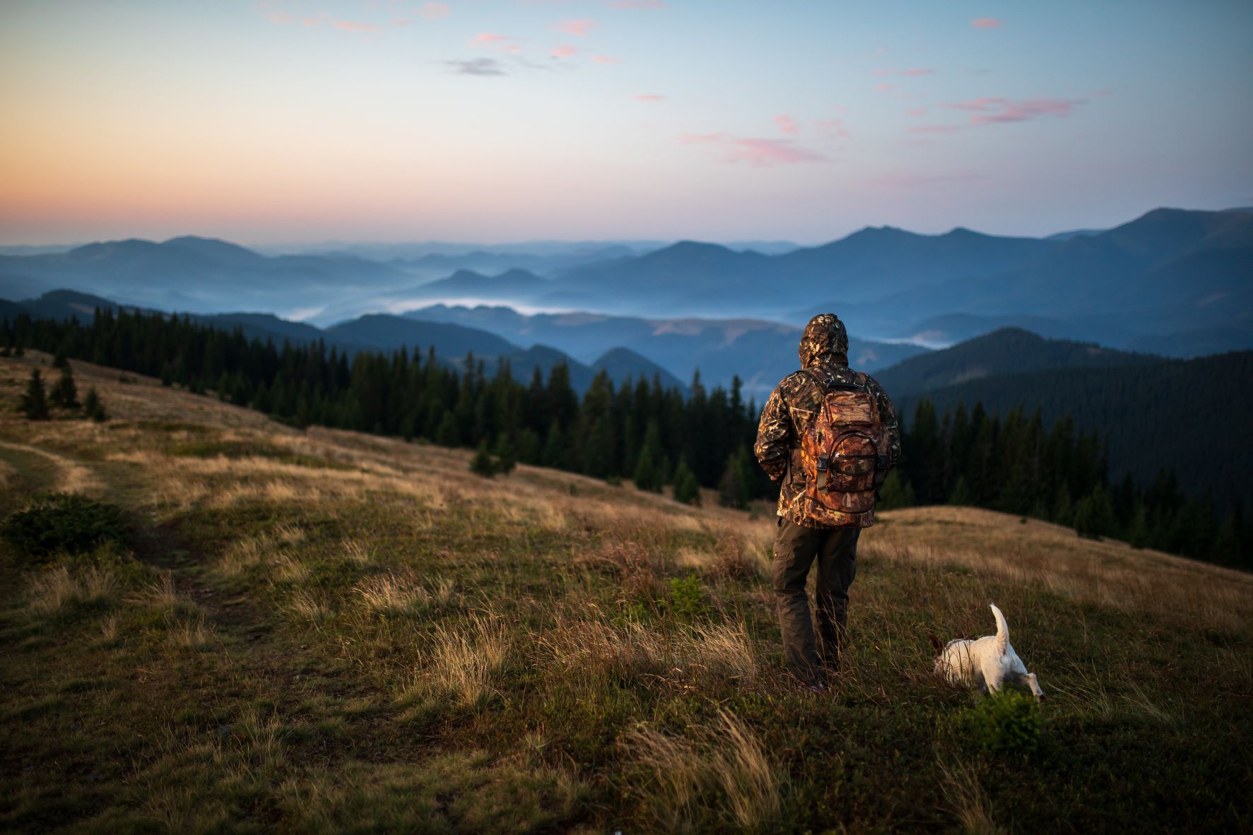 Comment obtenir une carte de chasse ?