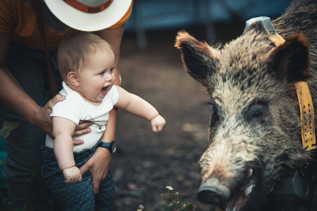 bébé souriant avec un sanglier