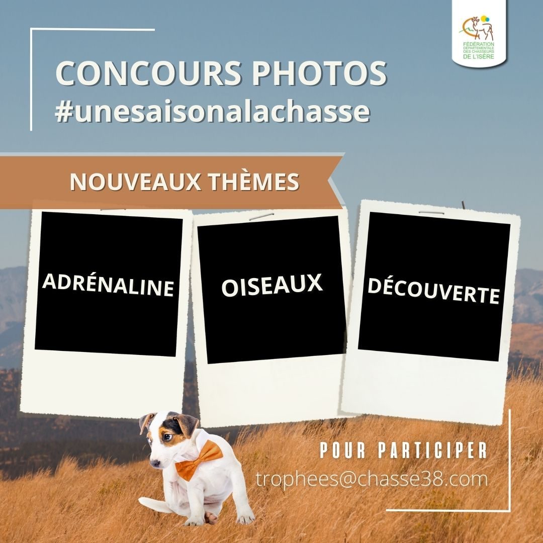 Une saison à la chasse : le concours photos !